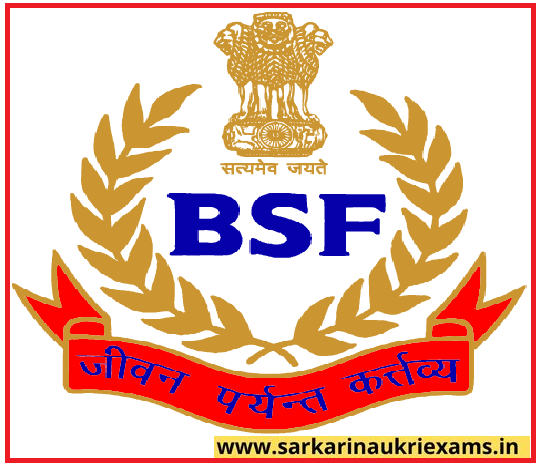 bsf logo2